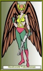 hawkwoman3.jpg